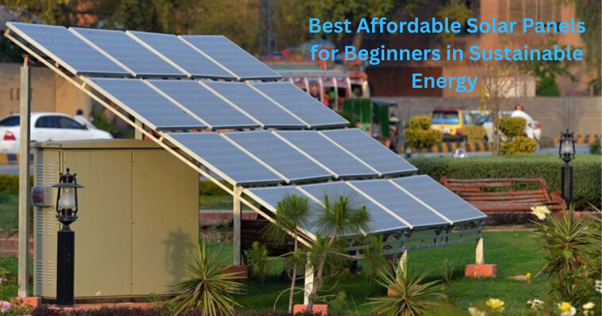 Best Affordable Solar Panels for Beginners in Sustainable Energy in 2025